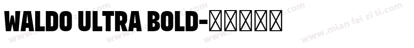 Waldo Ultra Bold字体转换